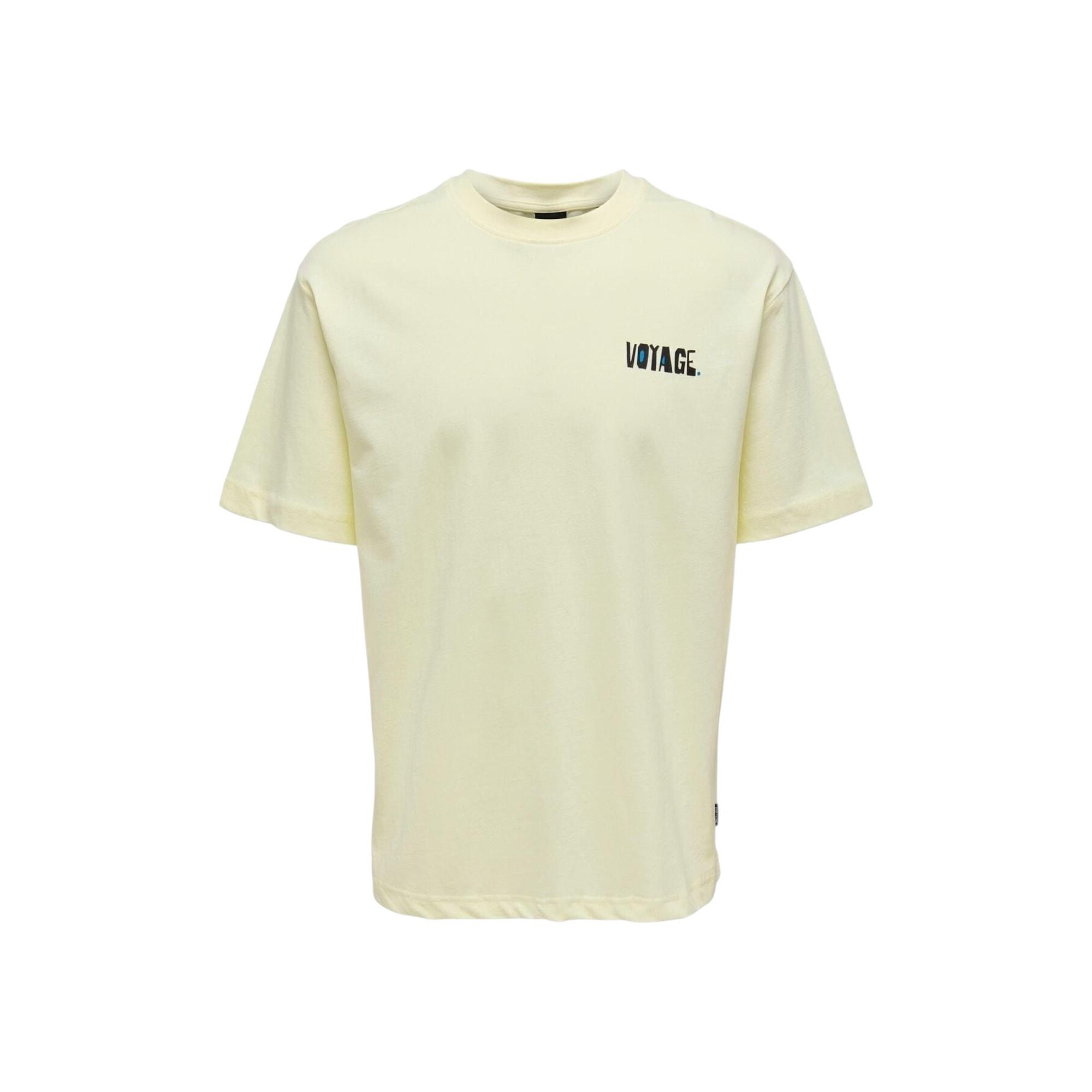 Erkek T-shirt 22025301
