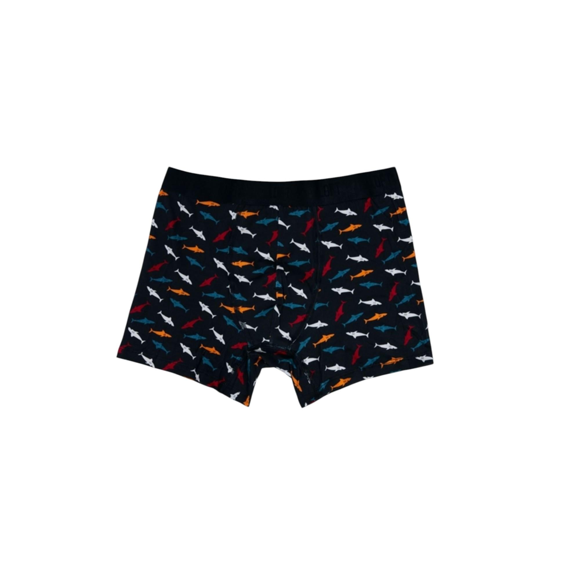 BOXER