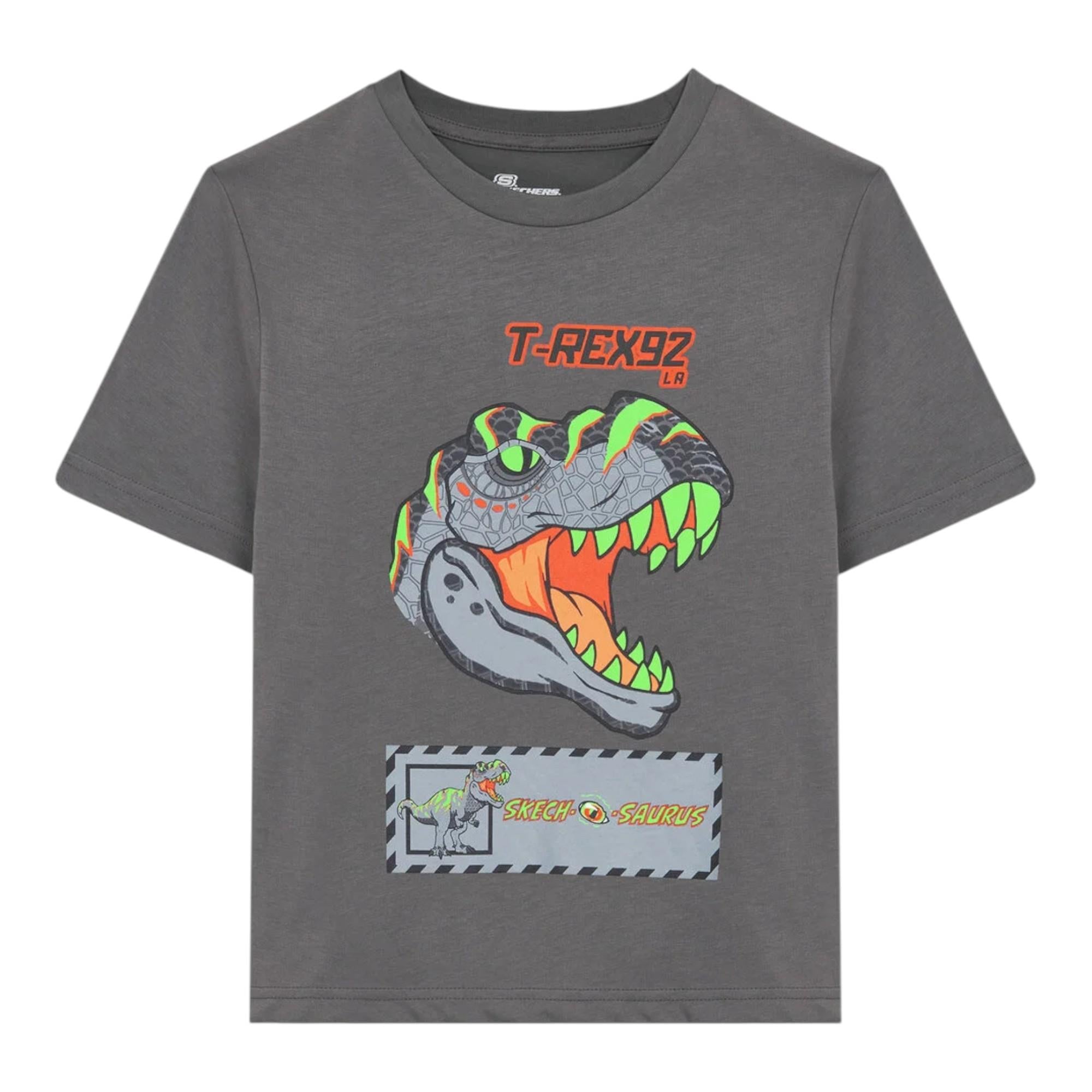 Erkek Çocuk Gri Tshirt SK241093-035