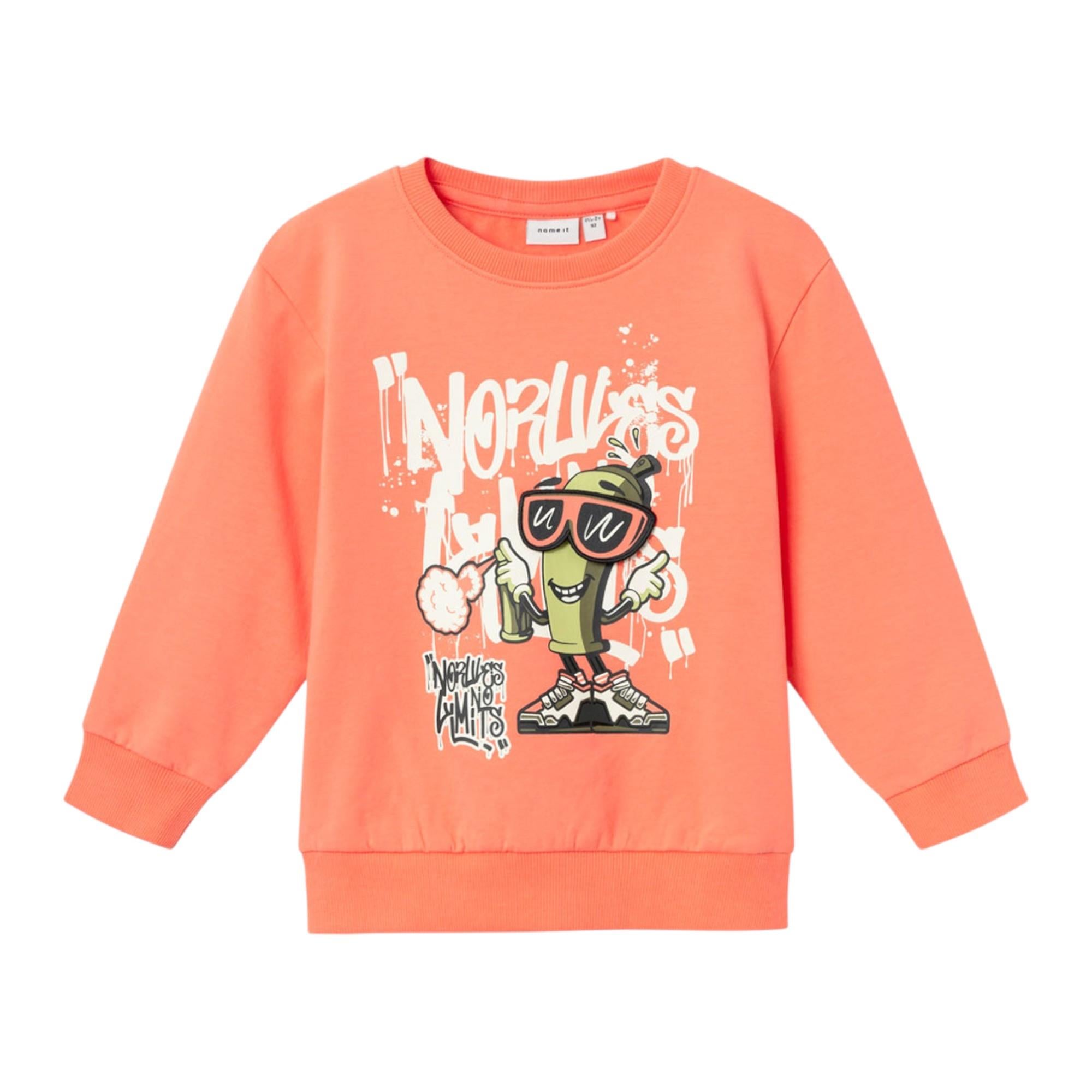 Erkek Çocuk Sweatshirt