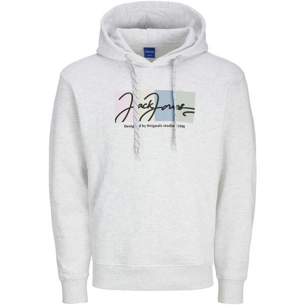 Erkek Kapüşonlu Sweatshirt 12262421