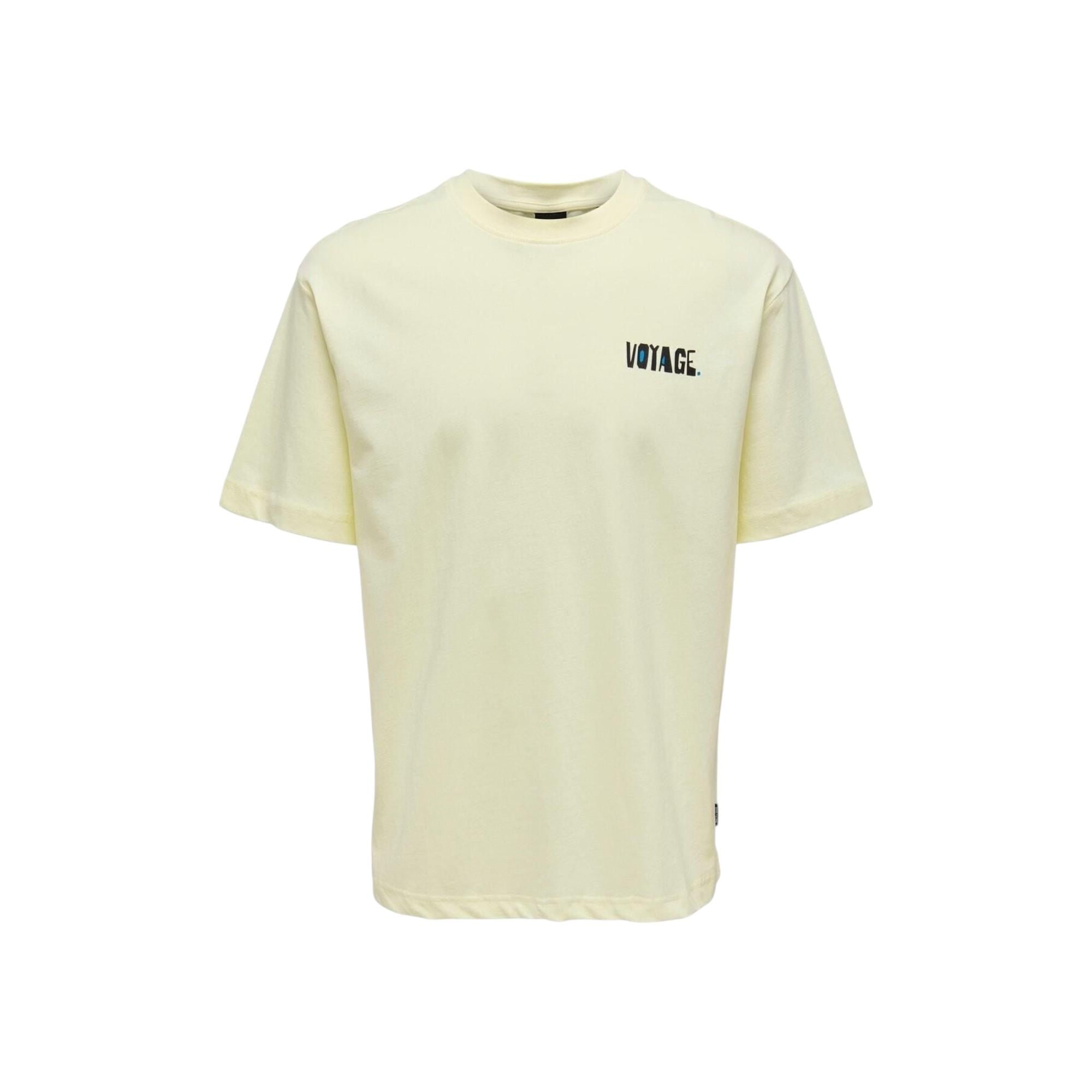 Erkek T-shirt 22025301