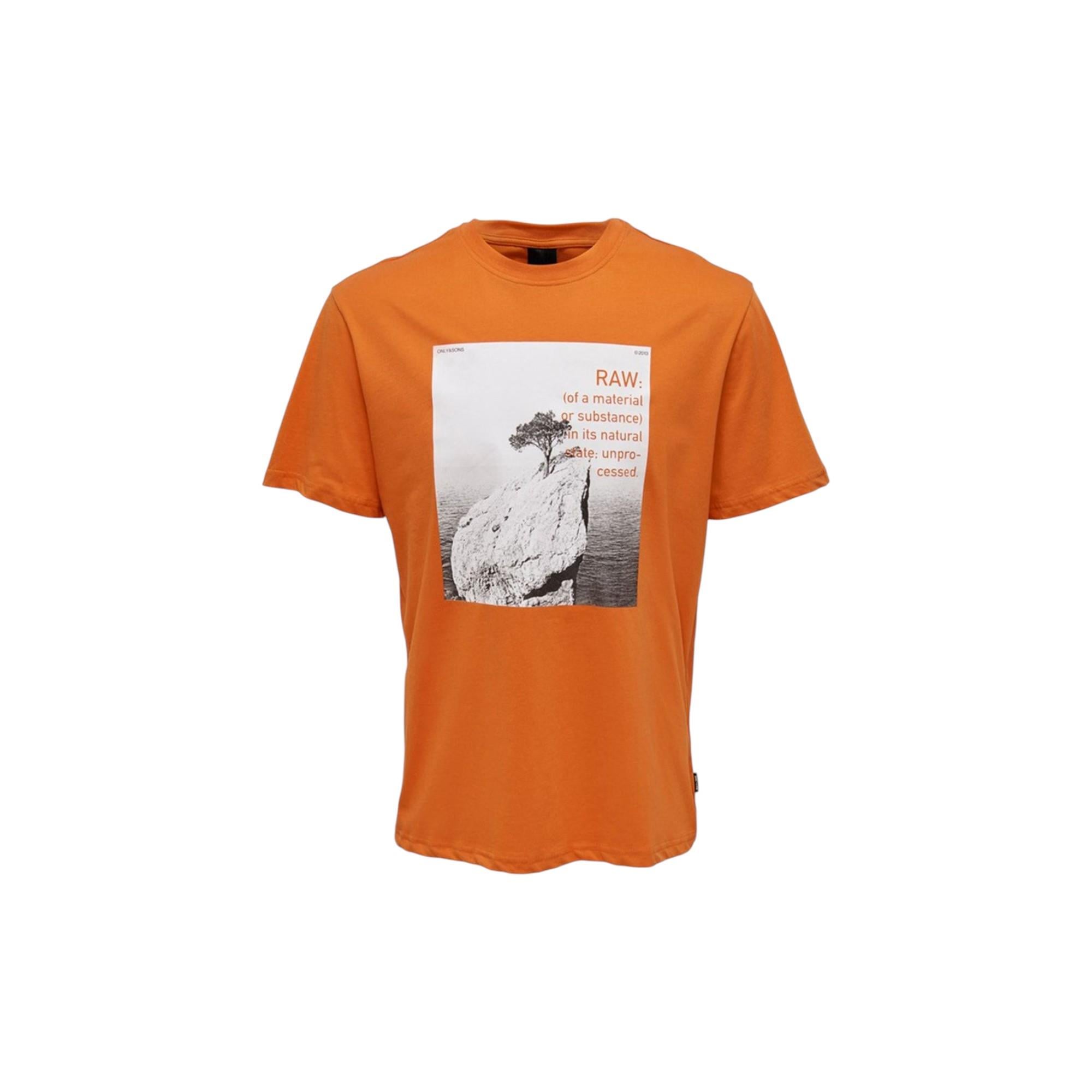 O Yaka Baskılı Turuncu Erkek T-shirt 22025271