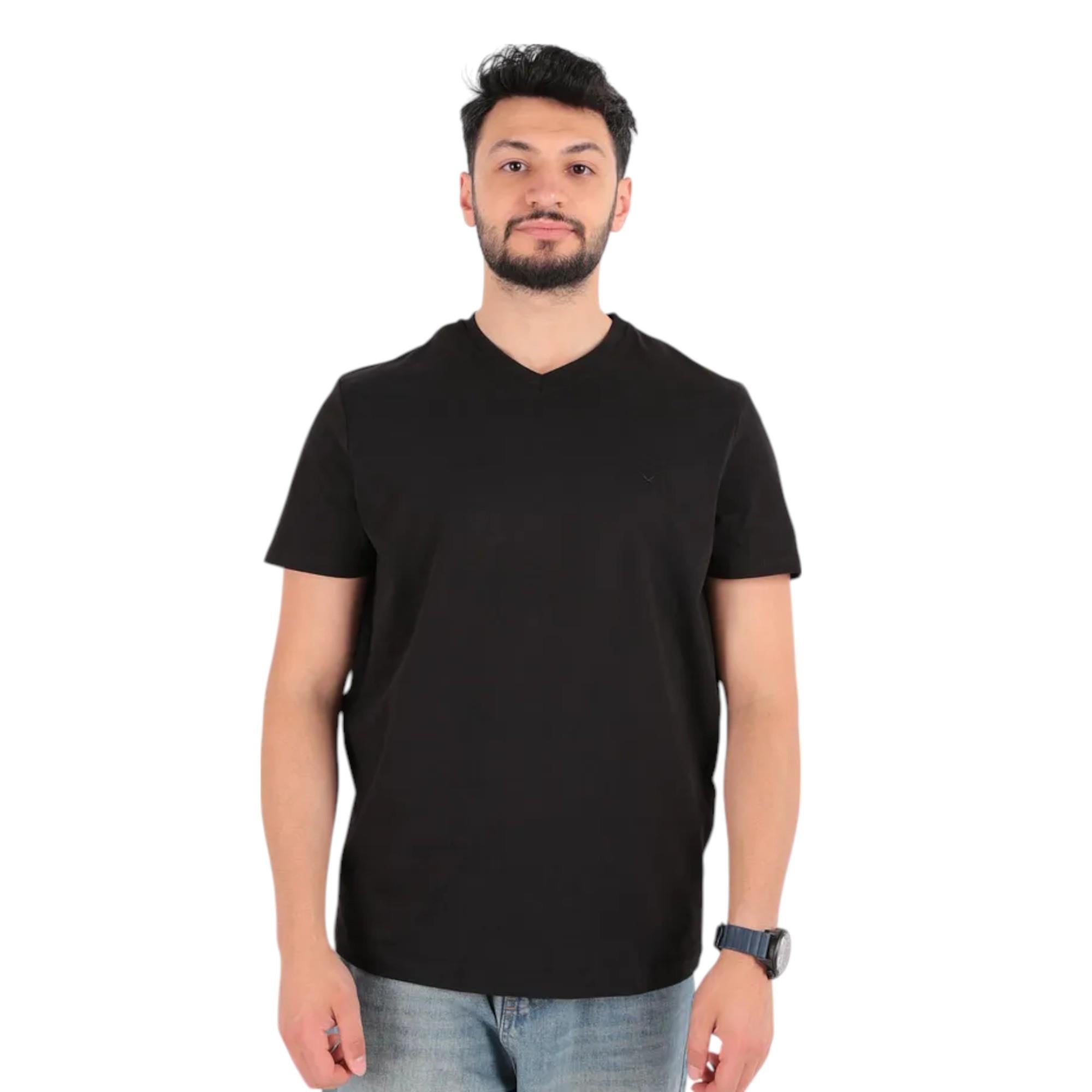 V Yaka Erkek T-shirt 24YCEEO04624