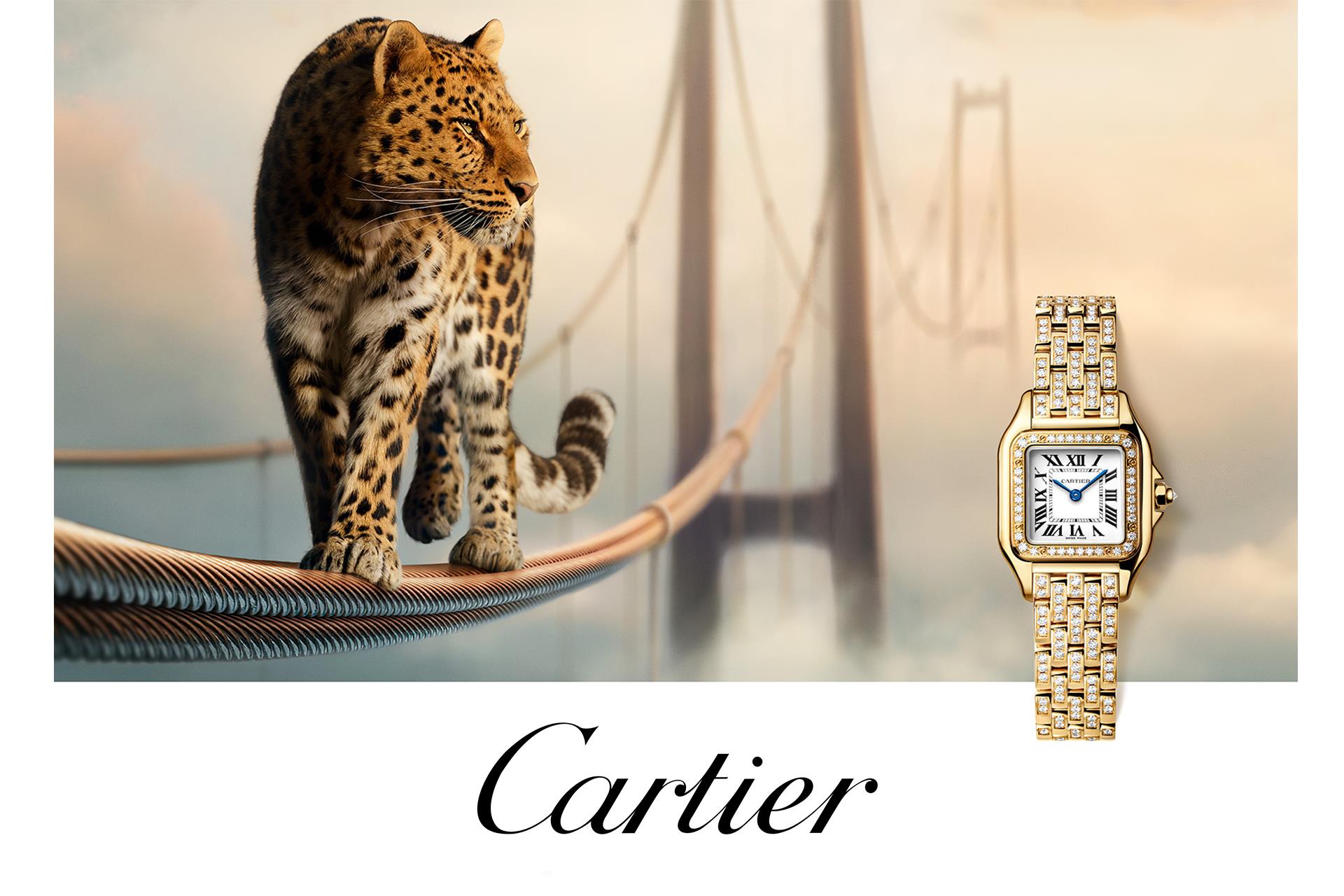 cartier mobil slider