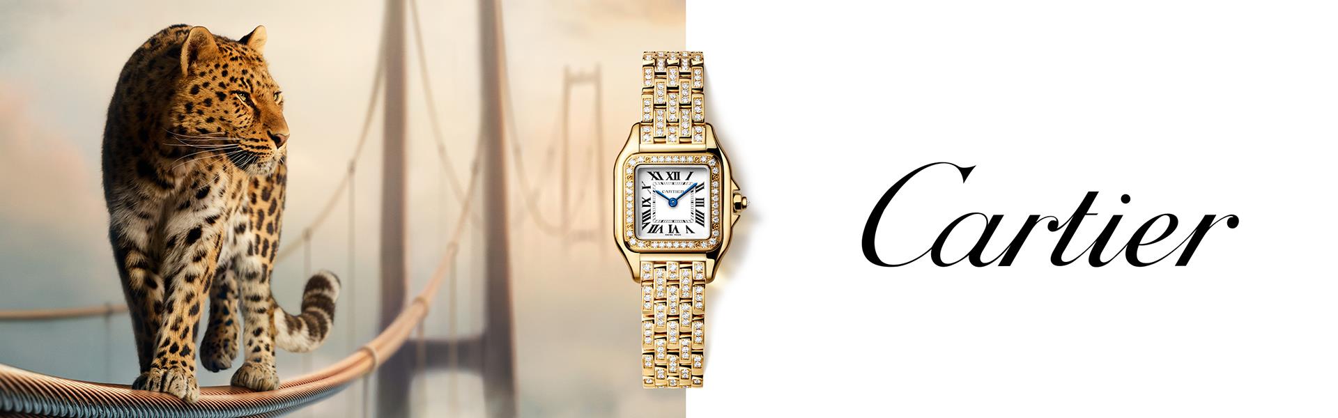 cartier slider banner