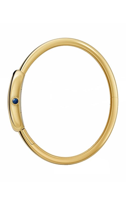 Cartier WGBA0025 Baignoire Watches