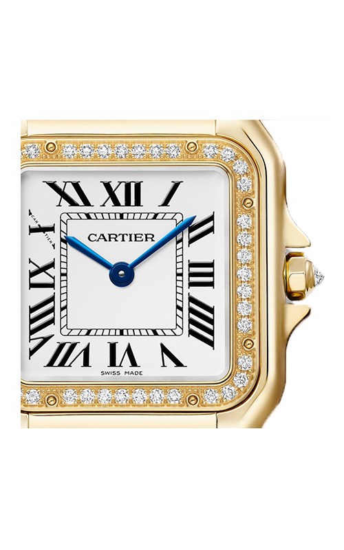 Cartier Panthere