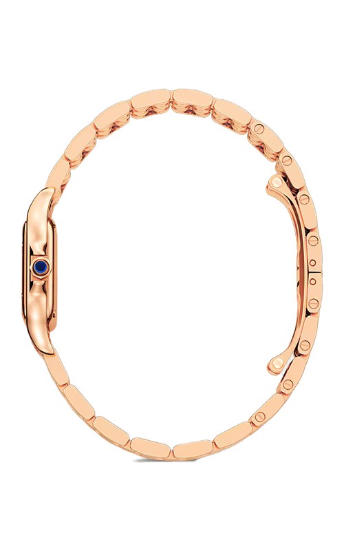 Cartier WGPN0049 Panthere Watches