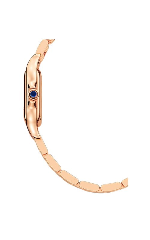 Cartier Panthere