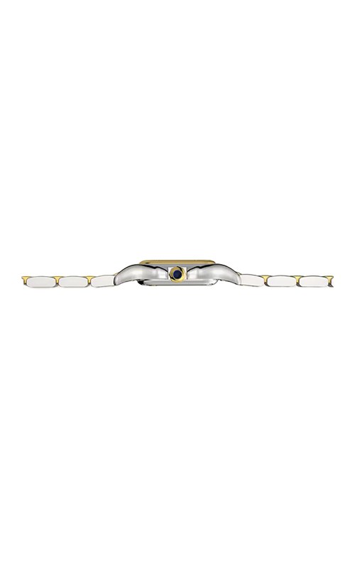 Cartier Panthere