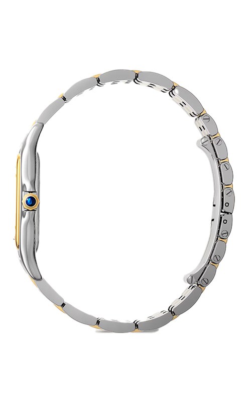 Cartier Panthere