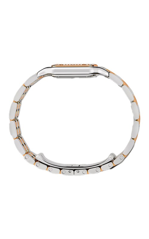 Cartier Panthere