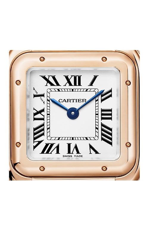 Cartier Panthere
