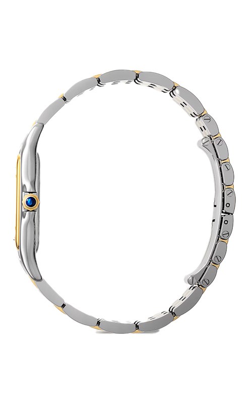 Cartier Panthere