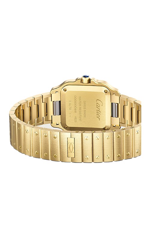 Cartier WGSA0107 Santos Watches