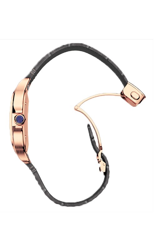 Cartier WGSA0019 Santos Watches