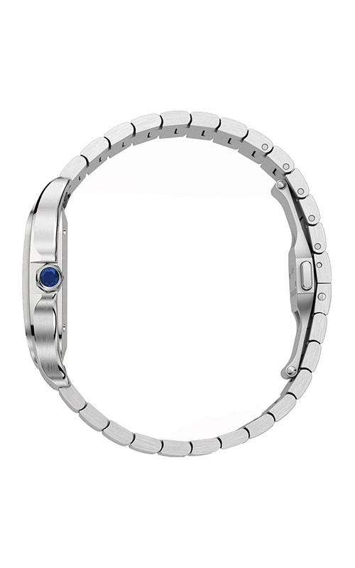 Cartier WSSA0064 Santos Watches