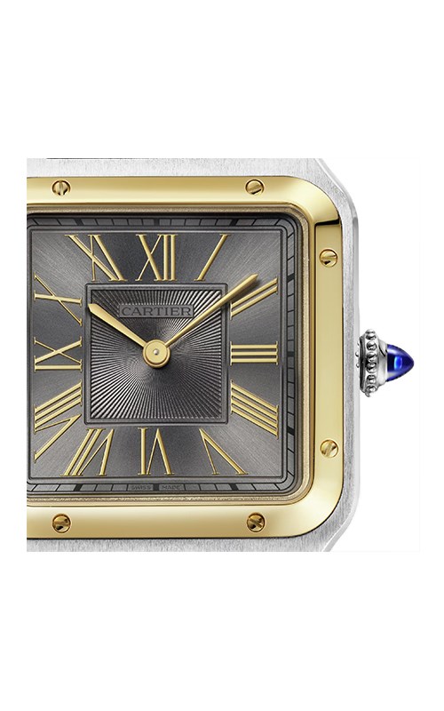 Cartier Santos