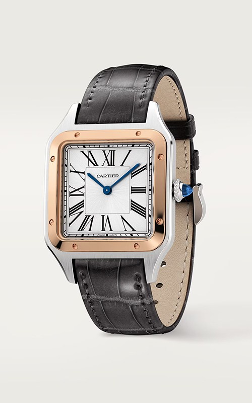 Cartier W2SA0011 Santos Watches