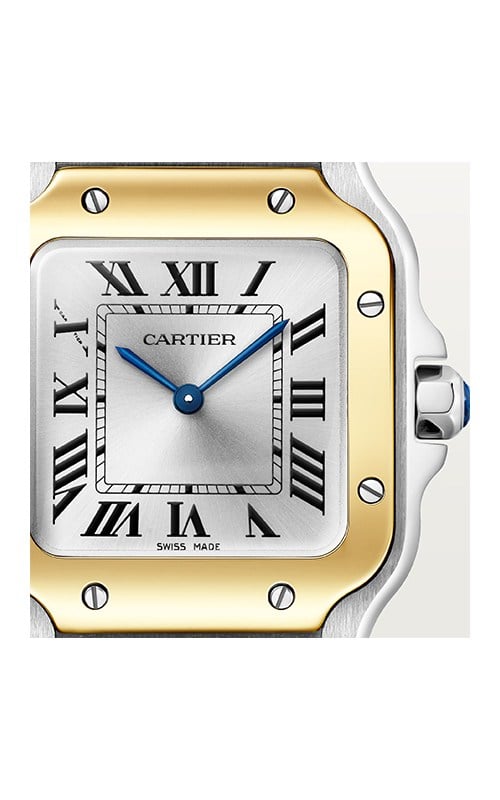 Cartier W2SA0033 Santos Watches