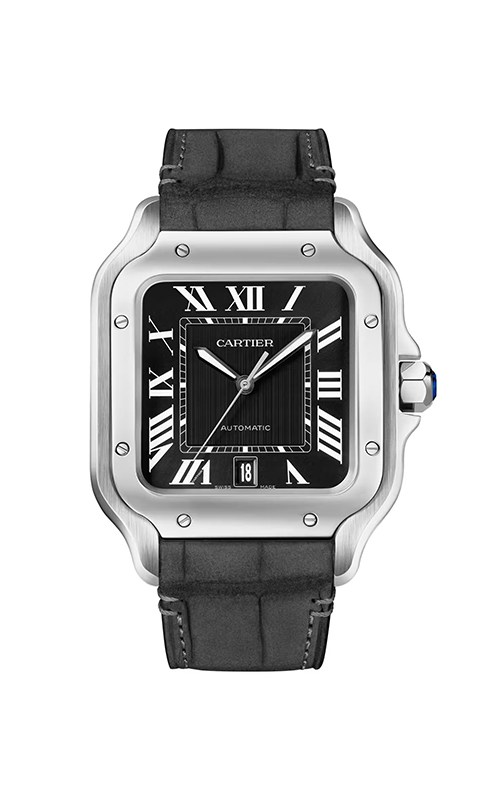 Cartier WSSA0096 Santos Watches