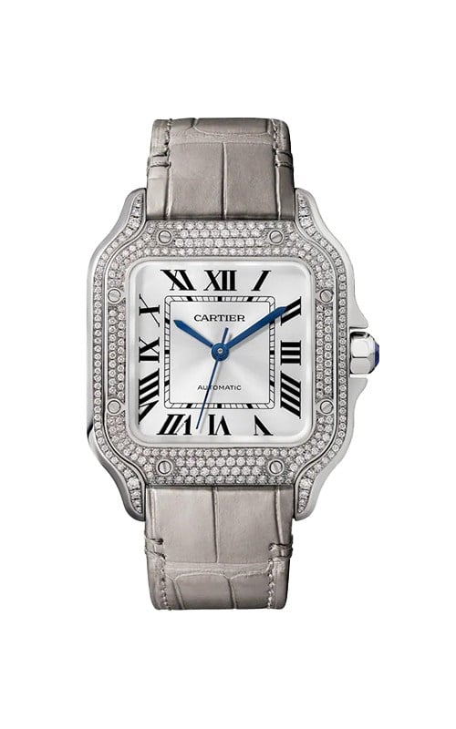 Cartier WJSA0014 Santos Watches