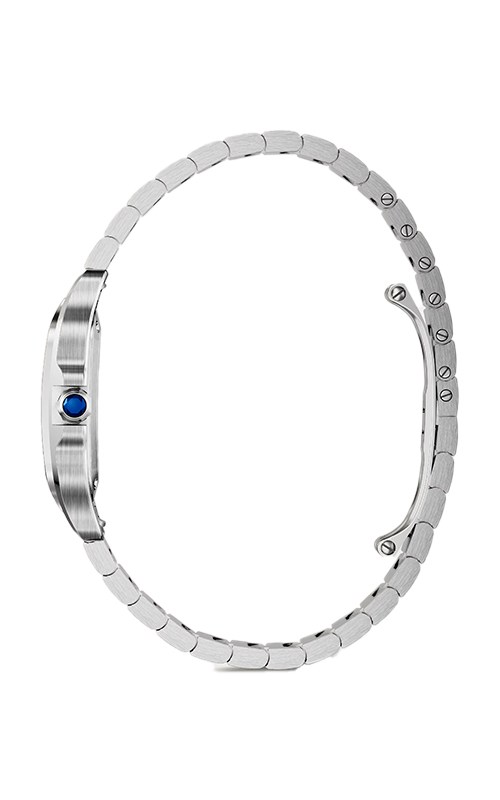 Cartier WSSA0082 Santos Watches