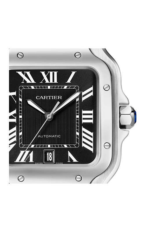 Cartier WSSA0096 Santos Watches