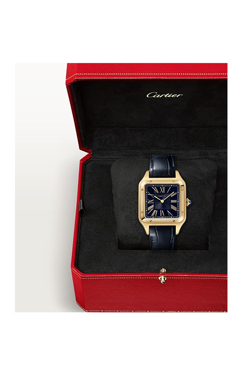 Cartier WGSA0115 Watches