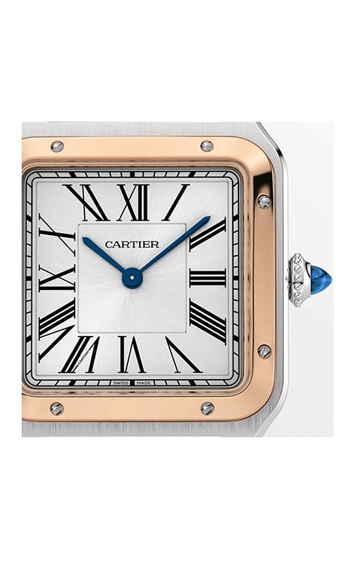 Cartier W2SA0037 Watches