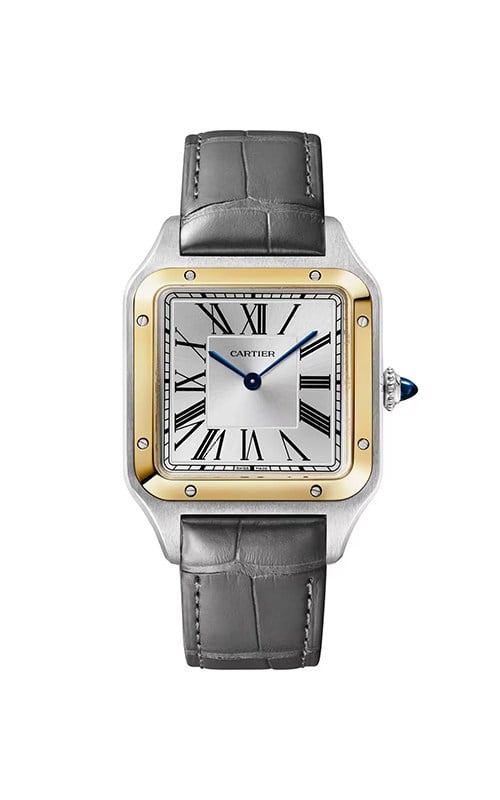 Cartier W2SA0046 Watches