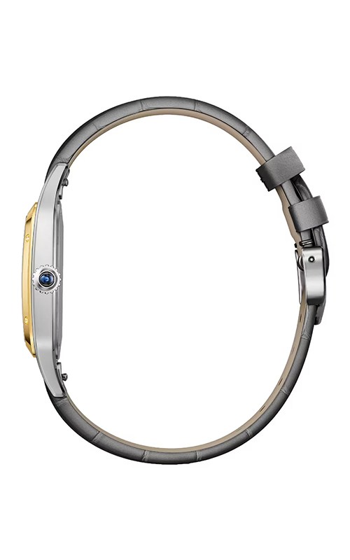 Cartier W2SA0046 Watches