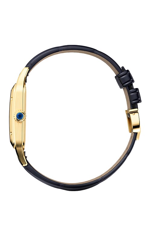 Cartier WGSA0115 Watches