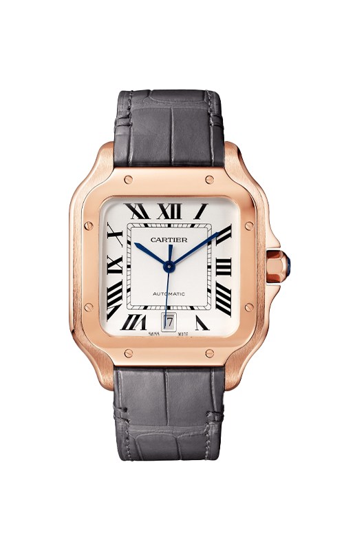 Cartier WGSA0019 Santos Watches