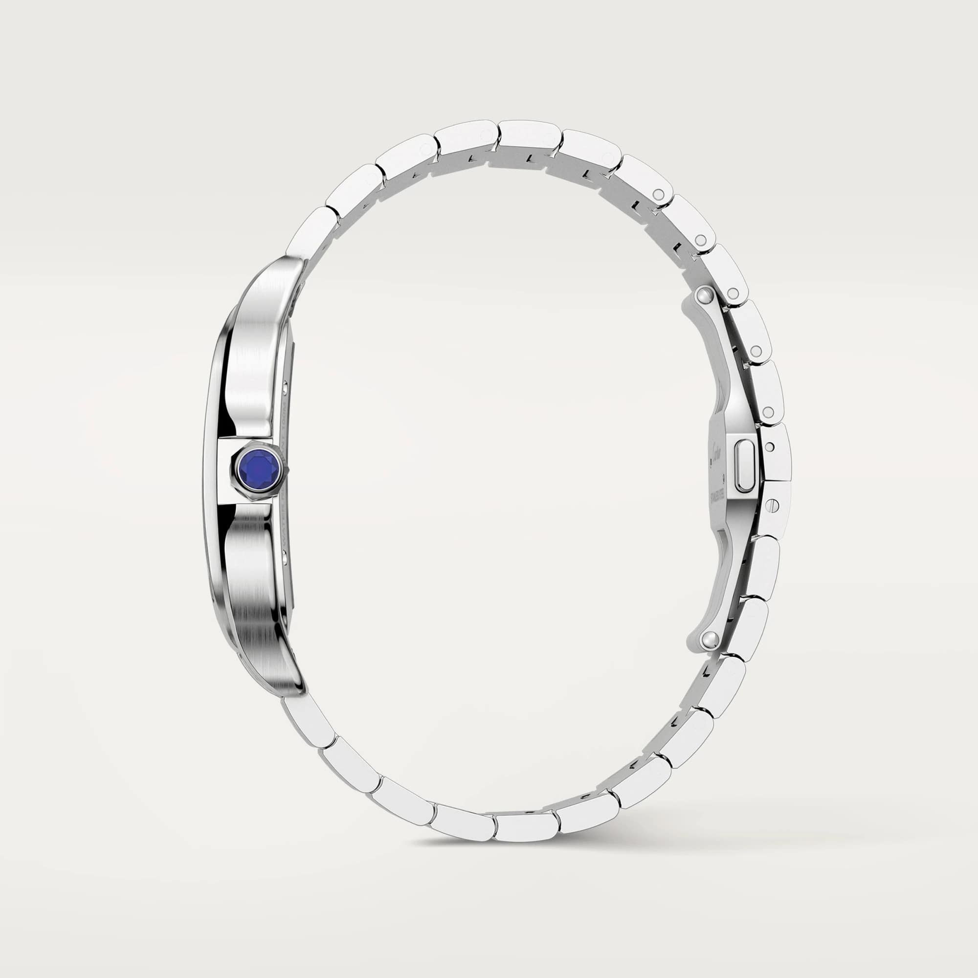 Cartier WHSA0015 Santos Watches