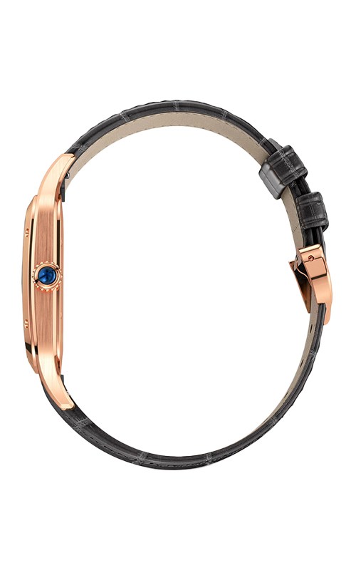 Cartier Santos