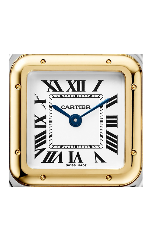 Cartier W2PN0018 Panthere Kadın Kol Saati