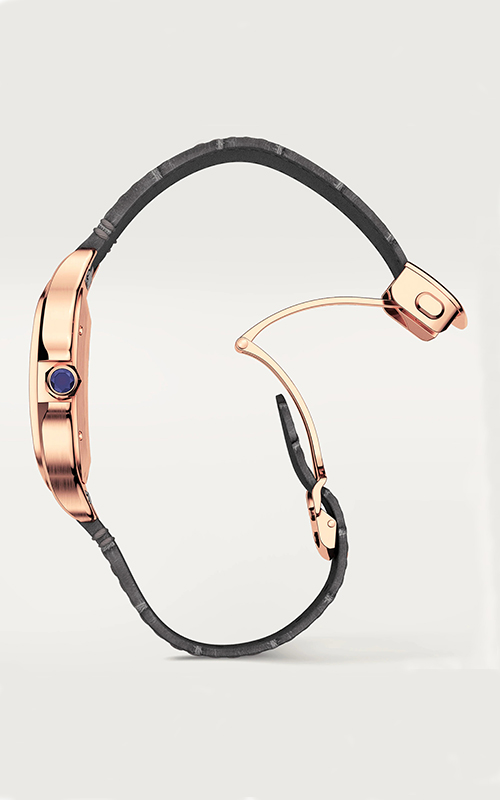 Cartier WGSA0019 Santos Erkek Kol Saati