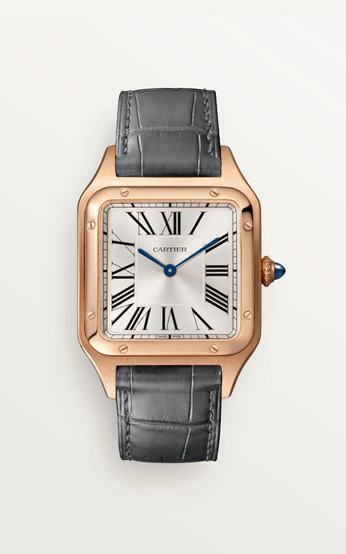 Cartier WGSA0021 Santos Dumont Erkek Kol Saati