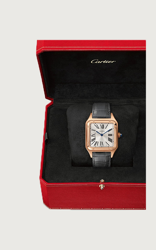 Cartier WGSA0021 Santos Dumont Erkek Kol Saati