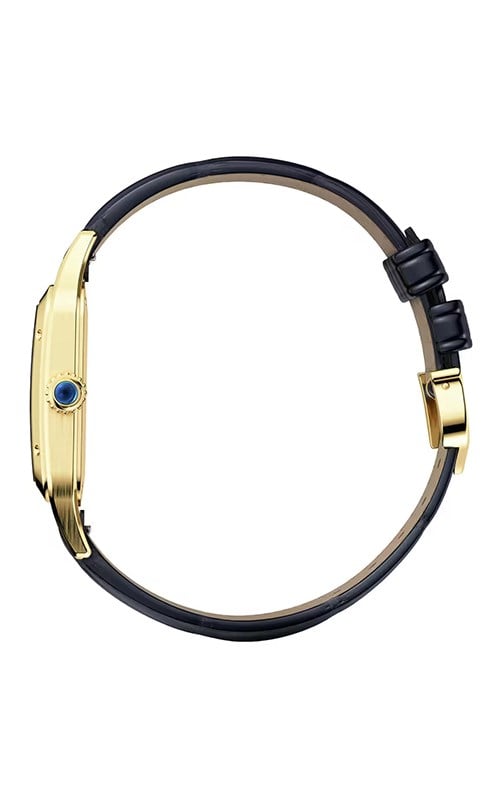 Cartier WGSA0077 Santos Dumont Erkek Kol Saati