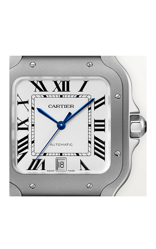 Cartier WSSA0089 Santos Erkek Kol Saati