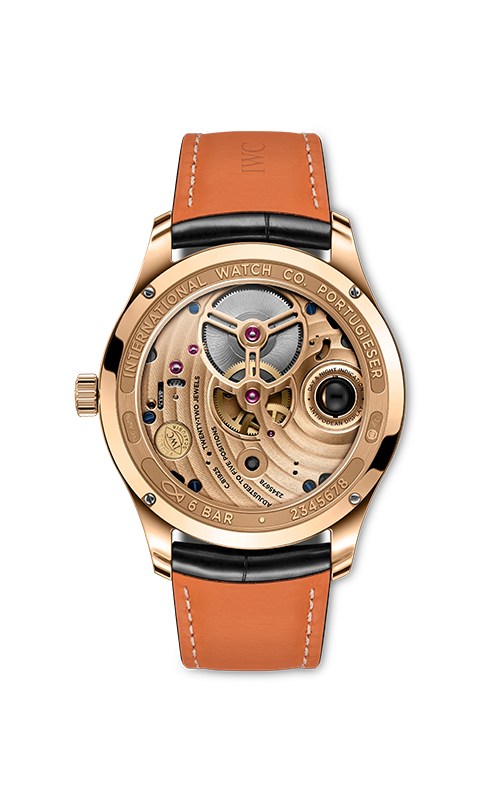 IWC IW545901 Watches