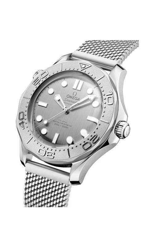 Omega 210.30.42.20.06.002 Diver 300 Watches