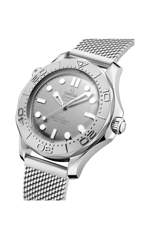 Omega 210.30.42.20.06.002 Diver 300 Erkek Kol Saati