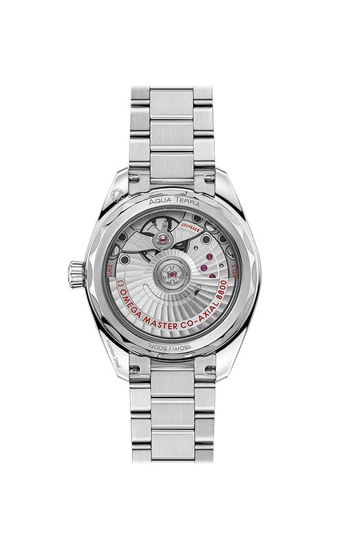 Omega 220.10.34.20.10.001 Aquaterra Watches