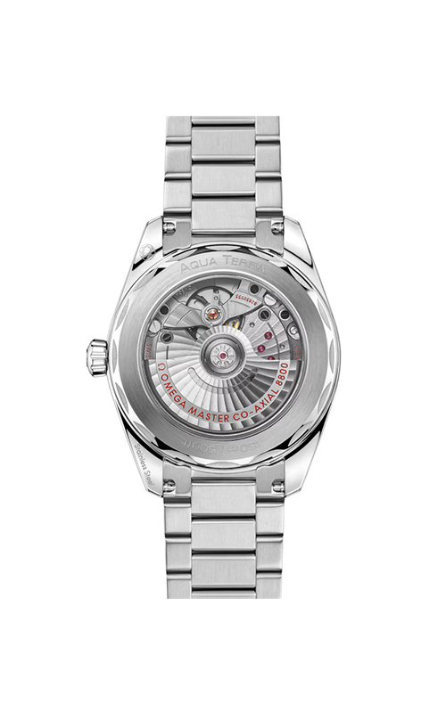 Omega 220.10.38.20.03.005 Aquaterra Erkek Kol Saati