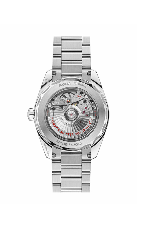 Omega 220.10.38.20.03.003 Aquaterra Watches