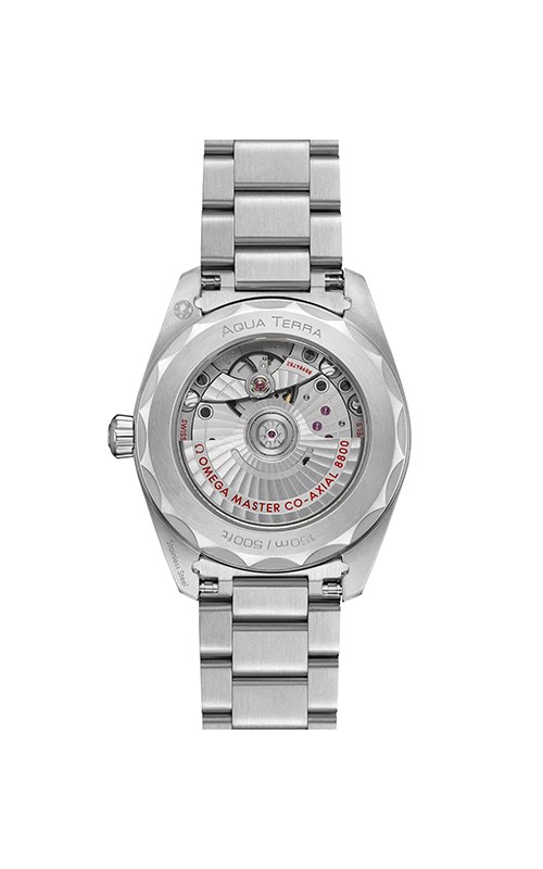 Omega 220.10.38.20.10.003 Aquaterra Watches